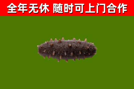 嘉荫烟酒回收干海参.jpg